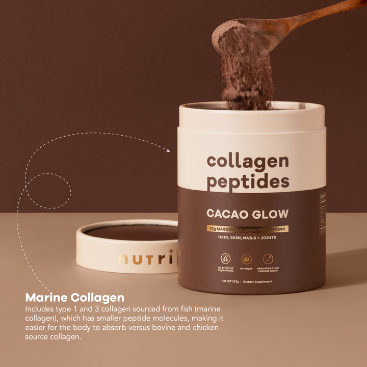 Chocolate Collagen Peptides